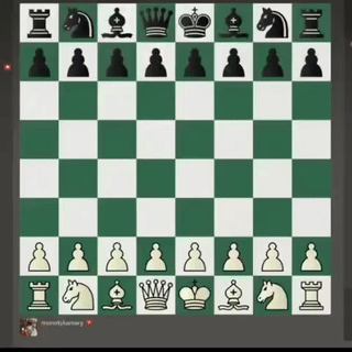 Big brain chess play